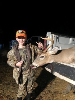 Deer Past