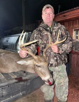 Deer Past