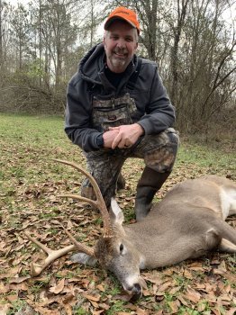 Deer Past
