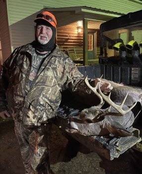 Deer Past