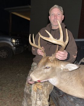 Deer Past