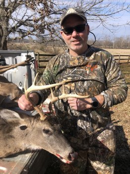 Deer Past