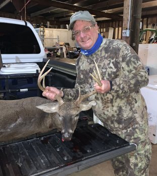 Deer Past