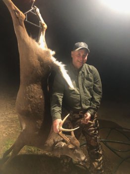Deer Past
