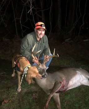 Deer Past