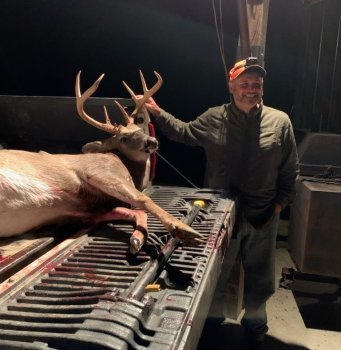 Deer Past