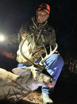 Deer Past