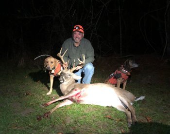 Deer Past