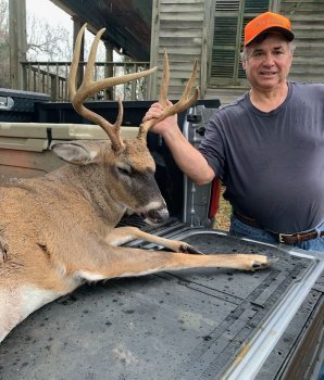 Deer Past
