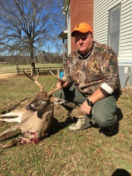 Deer Past
