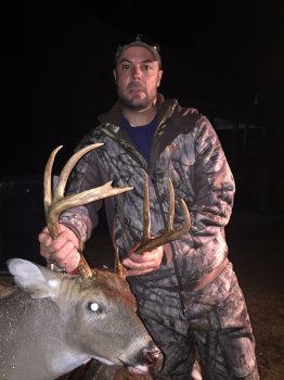 Deer Past