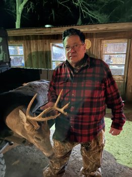 Deer Past