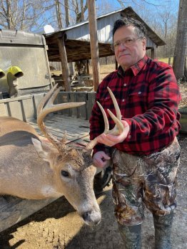 Deer Past