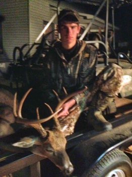 Deer Past