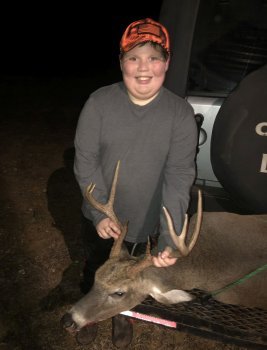 Deer Past