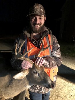 Deer Past