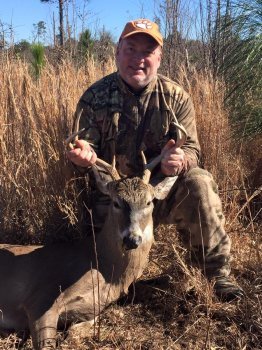 Deer Past