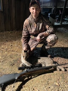 Deer Past