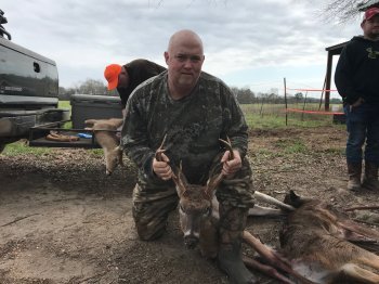 Deer Past