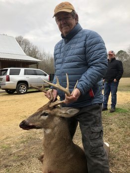 Deer Past