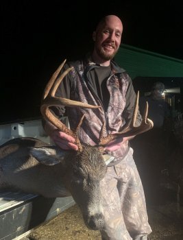 Deer Past