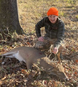 Deer Past