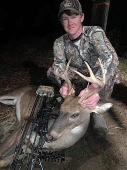 Deer Past