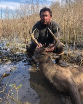 Deer Past