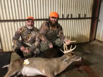 Deer Past