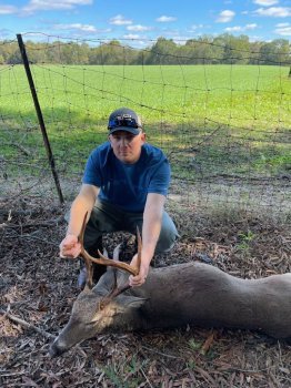 Deer Past