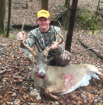 Deer Past