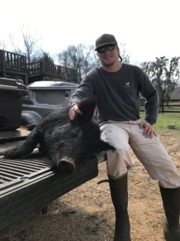 Hogs and Other